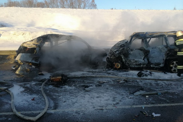 В Воронежской области возбуждено уголовное дело по факту ДТП, в котором сгорели восемь человек, их личности установлены
