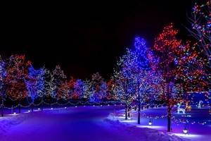 Стало известно, какой будет погода в Воронеже и в Москве в новогоднюю ночь и в начале зимних каникул