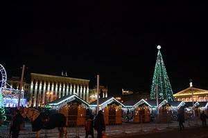 Воронеж встретил Новый год под надёжной охраной полицейских и спасателей