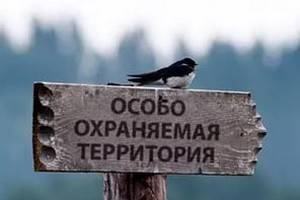 В Воронеже учредили особо охраняемые природные территории и утвердили список запрещённых там деяний