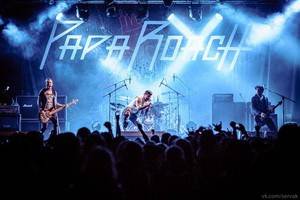 В Воронеже пройдёт третий Международный рок-фестиваль