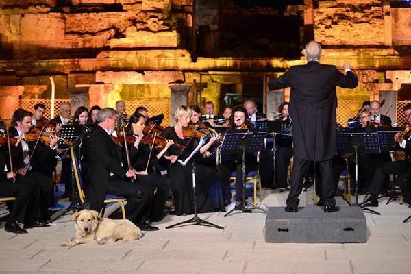 Пёс получил свою минуту славы на концерте симфонического оркестра