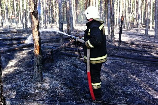 Тревожный лесной пожар в окрестностях Воронежа