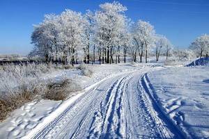 Воронежу вынесли штормовое предупреждение в связи с аномальными морозами