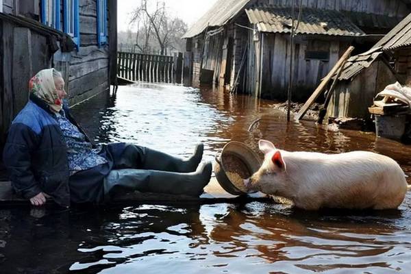 Воронежу обещали наводнение