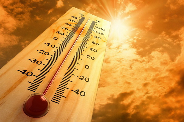 Третий температурный рекорд подряд в Воронеже – это перебор
