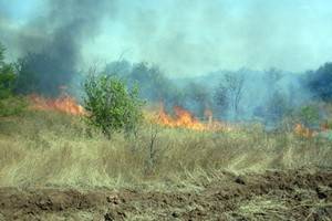 Воронеж: аномальная жара и чрезвычайная пожарная опасность