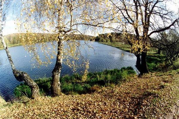 Прогноз на выходные и праздничные дни 4-7 ноября  для Воронежа и области: сравнительно тепло и без осадков