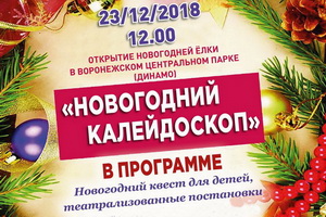 Первой в Воронеже откроется ёлка в Центральном парке, приглашаются все от нуля и старше