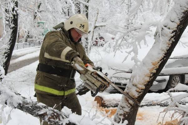 В Воронеже и области ликвидируют последствия сильного снегопада