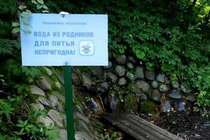 Роспотребнадзор забраковал воду из родников в Воронеже и области