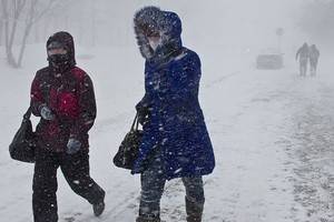 Воронеж ожидают серьёзные снегопады, а потом пять дней не декабрьских холодов
