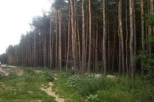 «Северный лес» в  пригороде Воронеже стал особо охраняемой природной территорией