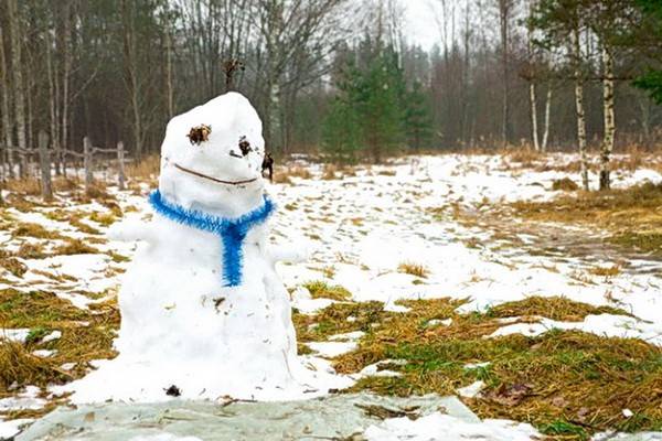 Зима в Воронеже начнётся с аномального тепла