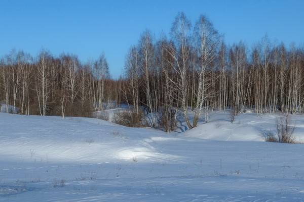 Синоптики рассказали, когда в Воронеже снова ляжет снег