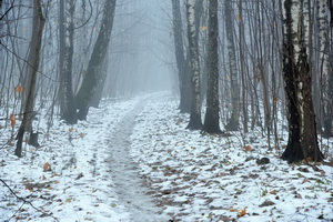 Снег ляжет в Воронеже в понедельник