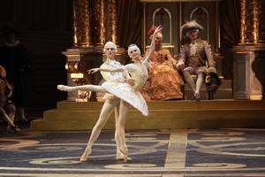 Воронежцы увидят балет Большого театра «Спящая красавица»