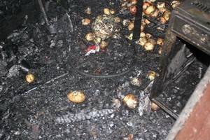 В Воронежской области сгорела столовая