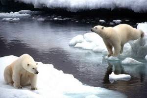 Сильные снегопады и холода в Центральной России связаны с таянием льдов Арктики