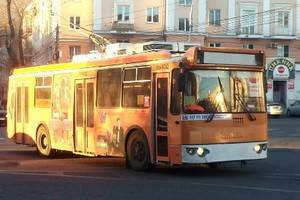 В Воронеже троллейбусом популярного маршрута управлял психически больной