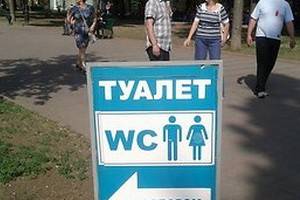 В Кольцовском сквере установят стильный туалет