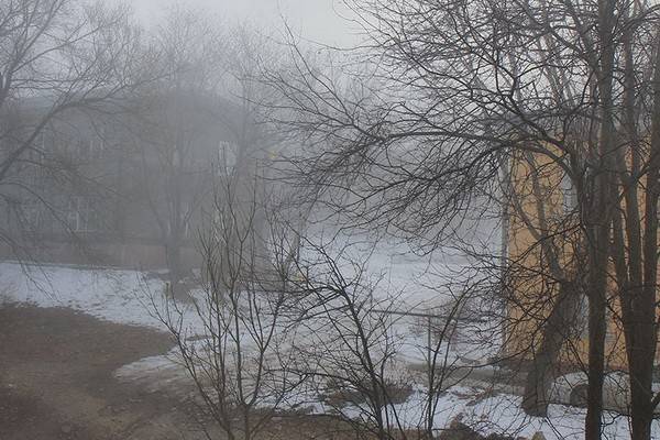 Жёлтый уровень опасности и сильное потепление – погода в Воронеже и области в ближайшие дни