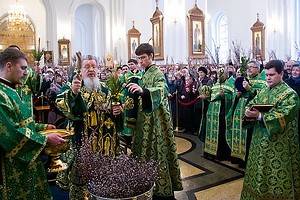 Православные отмечают праздник  Входа Господня в Иерусалим (Вербное воскресенье)