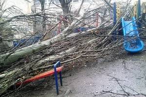 Воронежцев предупредили о сильном ветре  и грозе в пятницу