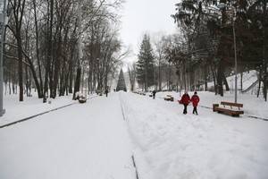 В Воронеже мирный отдых граждан в парках теперь охраняют видеокамеры