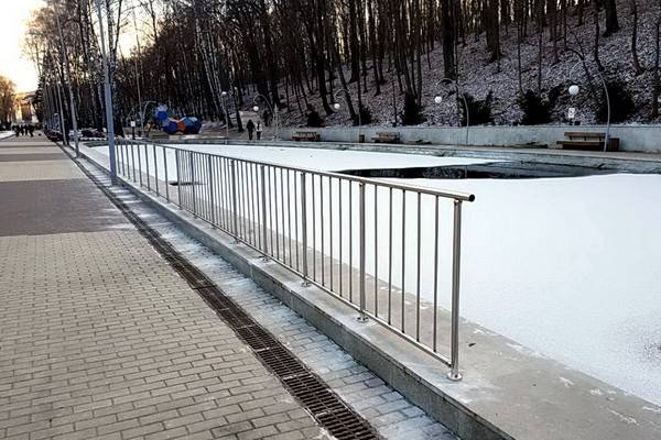 В Центральном парке Воронежа решили ограничить доступ к пруду и обнести его металлическим ограждением