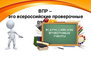 В Воронежской области 27 школ уличили в завышении результатов Всероссийских проверочных работ