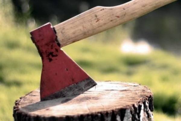 В Воронеже мужчина срубил деревья, которые мешали парковке его автомобиля