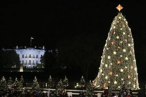Рухнула Национальная Рождественская елка США