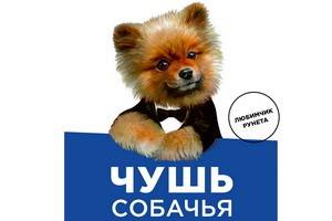 В России выходит первая книга, написанная собакой