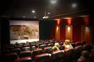 Кинотеатры  России  теряют зрителей