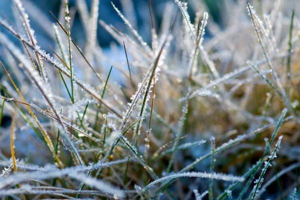 Воронежу сделали штормовое предупреждение о первых заморозках в ночь на понедельник