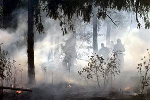 Западные СМИ не считают пожары в России «природными»