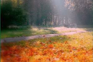 В Воронеже – сентябрьское тепло, на Кубани – летний зной