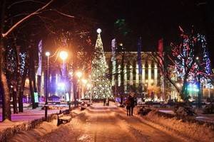 Воронеж оказался на втором месте среди недорогих городов для отдыха в новогоднюю ночь