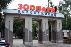Празднование 20-летия Воронежского зоопарка будет продолжаться три дня