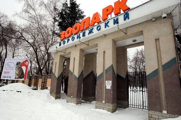 В марте Воронежский зоопарк готовит для воронежцев интересные акции