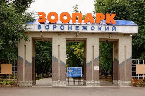Воронежский зоопарк проводит День открытых дверей