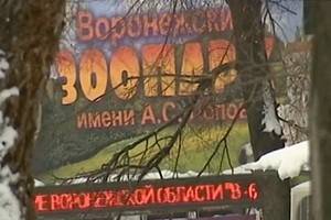 Карантин в Воронежском зоопарке продлили до 5 февраля