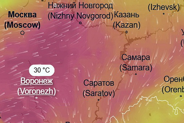 Жара в начале мая окажется сильнее прогнозируемой: в Воронеже может быть плюс 30