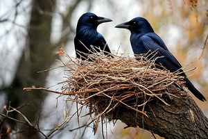 Март-2026 завершился впечатляющей аномалией