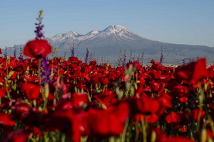 Лучшие фотографии недели 30 мая – 6 июня 2026 в мировых СМИ