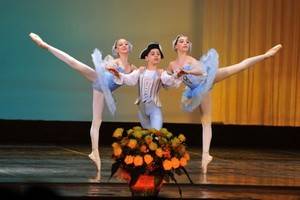 Первый фестиваль хореографических училищ стран СНГ завершился в Воронеже