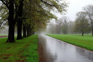 Нормализацию погоды в Воронежской области отнесли на 13 мая