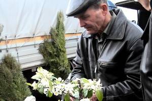 В Воронеже открылась выставка «Усадьба. Дача. Сад. Огород»