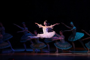 Фестиваль «Воронежские звёзды мирового балета» открылся в последний раз